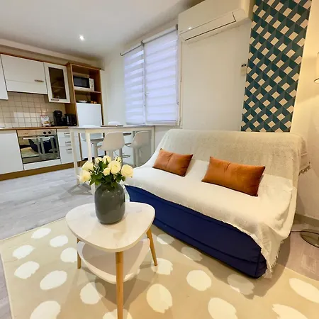 Grand Confortable Au Coeur De * 戛纳